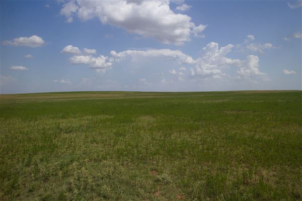 Rydell Ranch - field 7 - Clear cut rolling farmland with few trees. (7/28/2021 - Credits: Jeffrey Rydell)