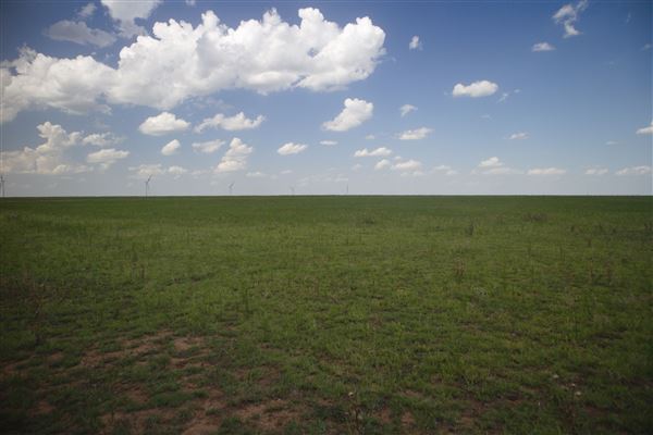 Rydell Ranch - field 7 - Clear cut rolling farmland with few trees. (7/28/2021 - Credits: Jeffrey Rydell)