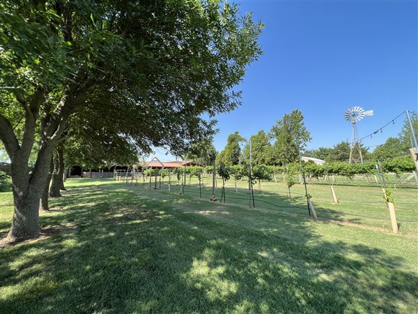 Nellis Vineyards (6/22/2022 - Credits: Yousef Kazemi / OFMO)