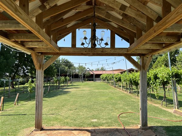 Nellis Vineyards (6/22/2022 - Credits: Yousef Kazemi / OFMO)