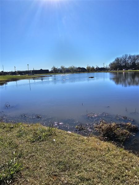 City of Owasso Centennial Park (11/14/2024 - Credits: Heather Stewart)