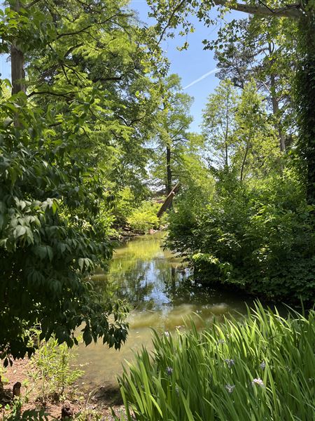 Will Rogers Gardens (5/14/2025 - Credits: Yousef Kazemi / OF+MO)