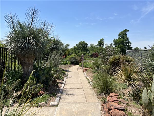 Will Rogers Gardens (5/14/2025 - Credits: Yousef Kazemi / OF+MO)