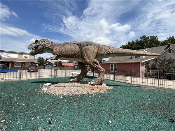 Dinosaur Photo Park (8/25/2023 - Credits: Yousef Kazemi / OF+MO)