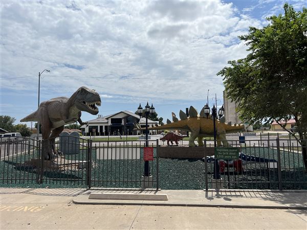 Dinosaur Photo Park (8/25/2023 - Credits: Yousef Kazemi / OF+MO)
