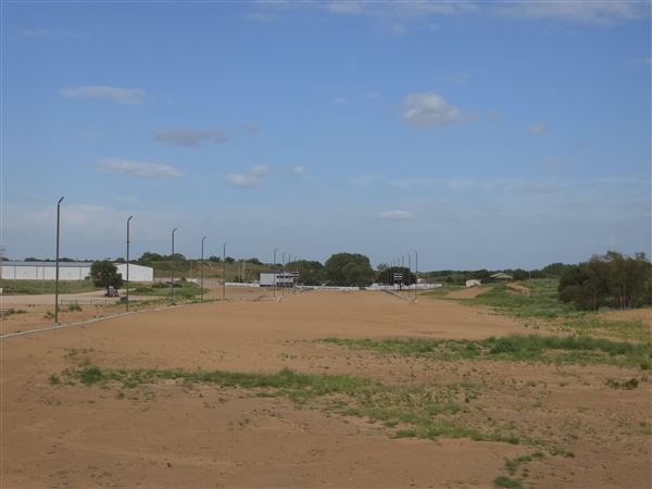 America's Oasis (7/7/2025)