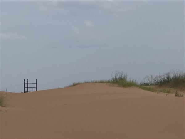 America's Oasis (7/7/2025)
