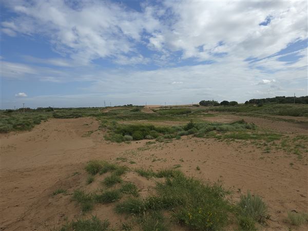 America's Oasis (7/7/2025)