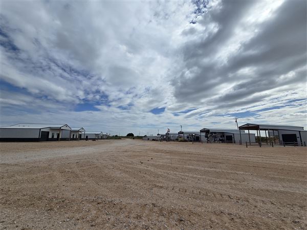 America's Oasis (7/7/2025)