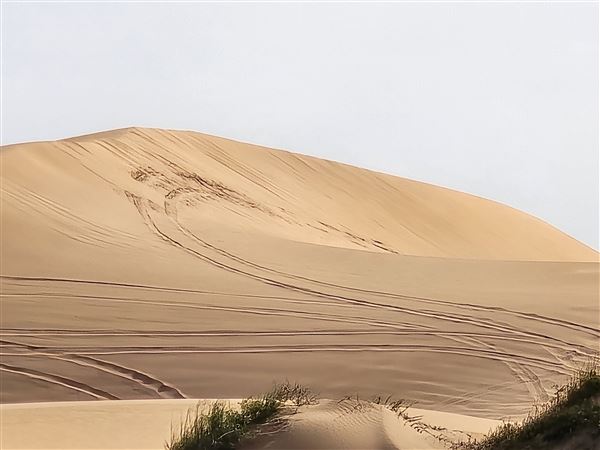 Little Sahara State Park (7/7/2025)