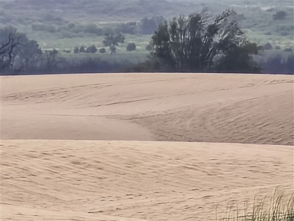 Little Sahara State Park (7/7/2025)