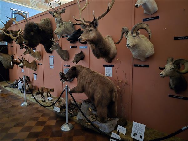Northwestern Oklahoma State University Museum (7/2/2025 - Credits: Jeremy Zeller)