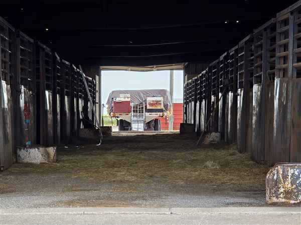 Woods County Fairgrounds (7/15/2025 - Credits: Jeremy Zeller)