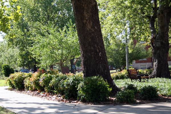 Oklahoma Baptist University (2/9/2009)