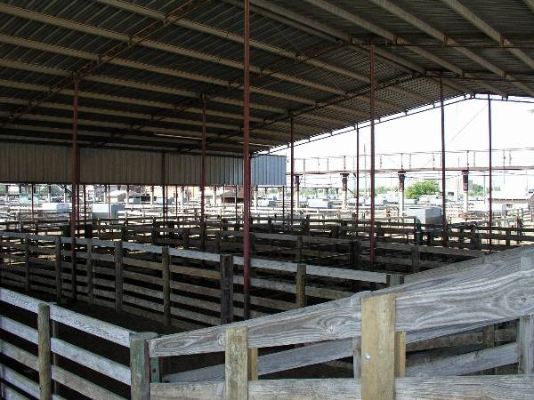 Oklahoma City Stockyards (2/9/2009)