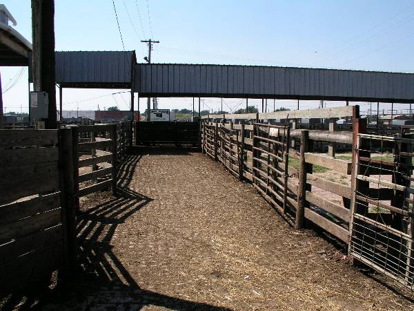 Oklahoma City Stockyards (2/9/2009)