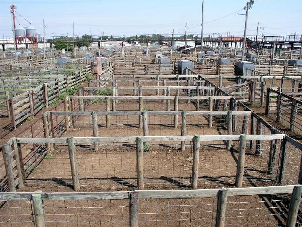 Oklahoma City Stockyards (2/9/2009)