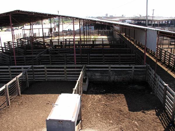 Oklahoma City Stockyards (2/9/2009)