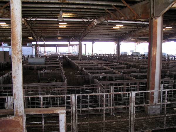 Oklahoma City Stockyards (2/9/2009)