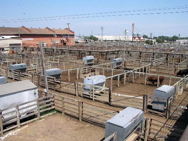 Oklahoma City Stockyards (2/9/2009)