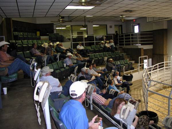 Oklahoma City Stockyards (2/9/2009)