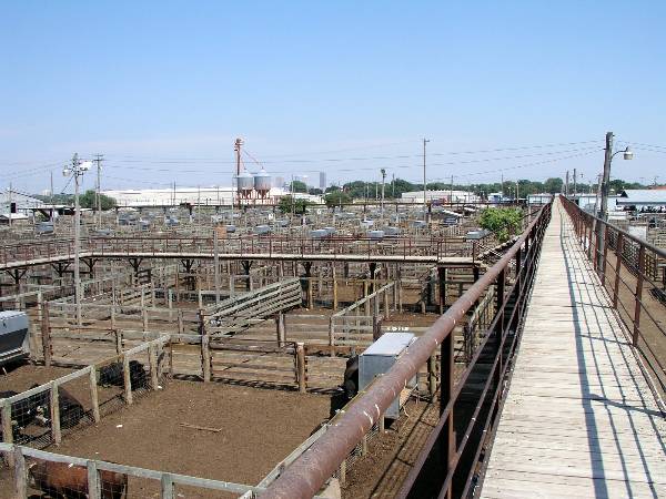 Oklahoma City Stockyards (2/9/2009)