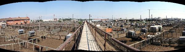 Oklahoma City Stockyards (2/9/2009)