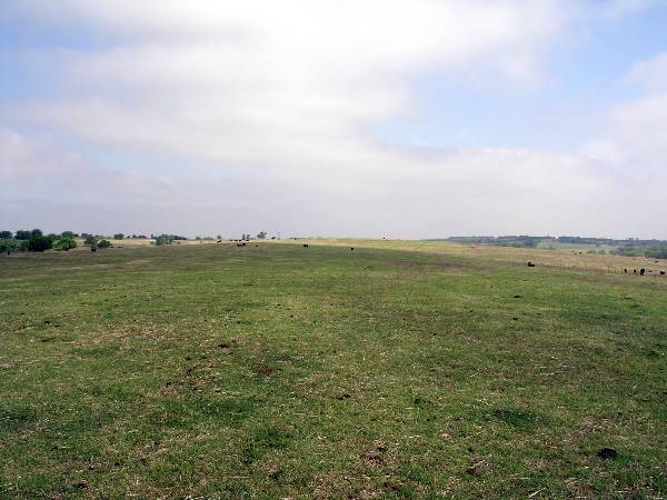 Strain Ranch (2/9/2009)