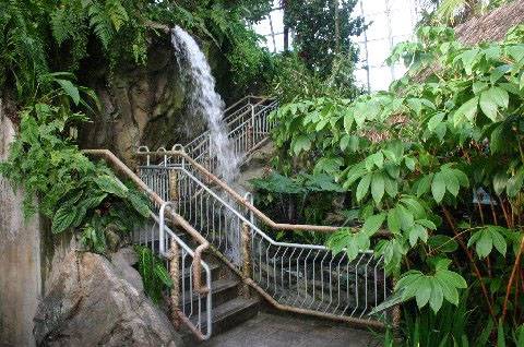Myriad Botanical Gardens (2/11/2009)