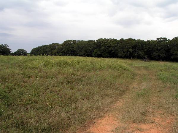 Tatanka Ranch (2/11/2009)