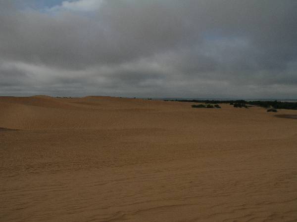 Little Sahara State Park (3/18/2009)