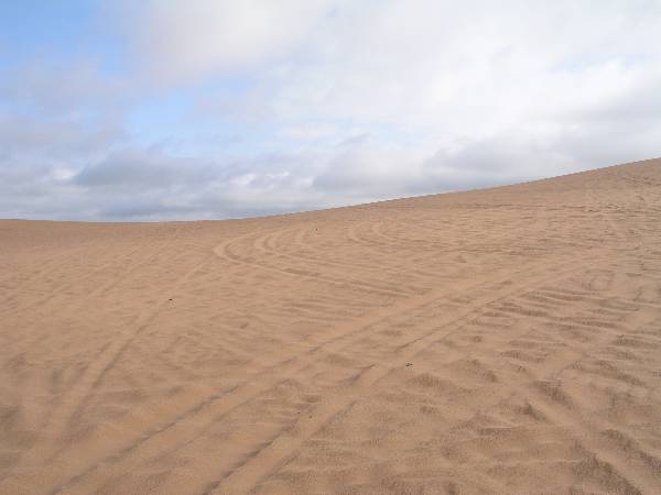 Little Sahara State Park (3/18/2009)