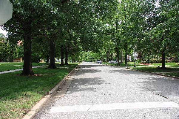 Mesta Park Historical Neighborhood (5/16/2009)