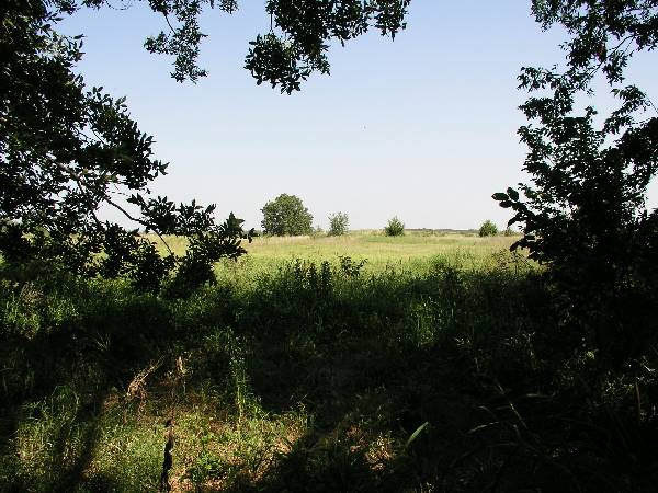Amen Farm (6/4/2009)