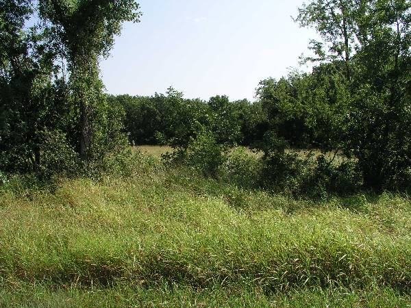 Amen Farm (6/4/2009)
