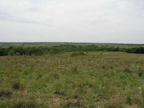 Sugarloaf Ranch (6/24/2009)