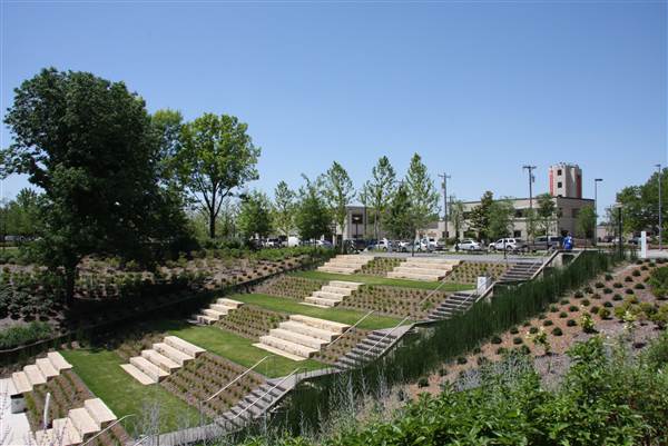 Myriad Botanical Gardens (7/7/2014)