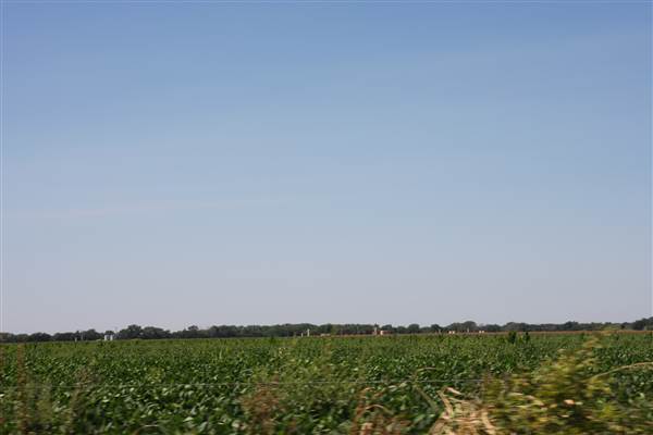 Silvertop Farm & Vineyards (9/9/2014)