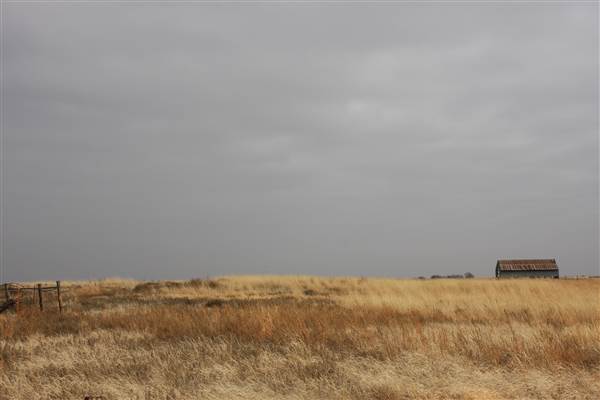 Nightmare in the Country - Kenton Ranch (12/10/2014 - Credits: Yousef Kazemi)