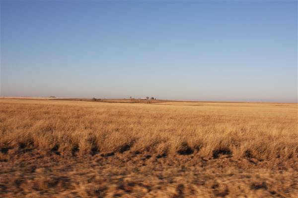 McBee Ranch (12/11/2014 - Credits: Yousef Kazemi)