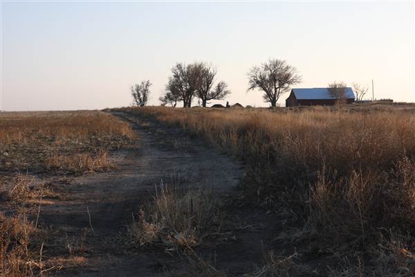 McBee Ranch (12/11/2014 - Credits: Yousef Kazemi)