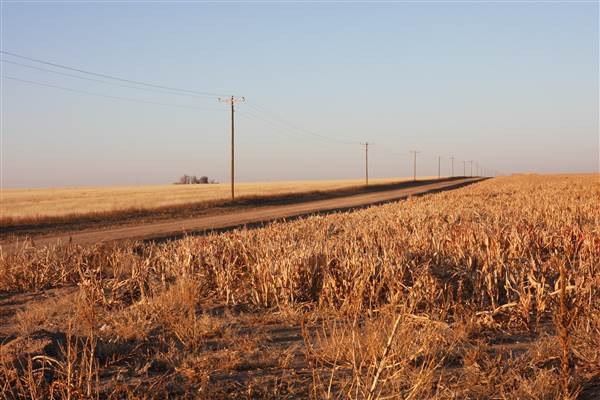 McBee Ranch (12/11/2014 - Credits: Yousef Kazemi)