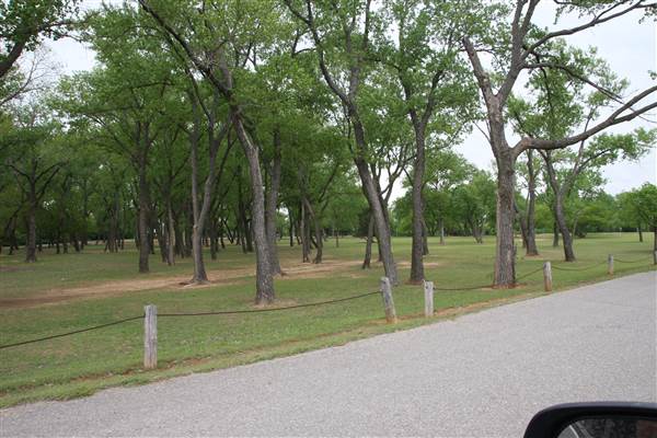 Dolese Youth Park (4/24/2015 - Credits: Yousef Kazemi)