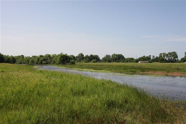 NFL Farms - Second set of horse grazing pens after the main area and passed the worker's houses - note lots of standing water from overflow creeks and areas from recent rain. (7/2/2015 - Credits: Yousef Kazemi)