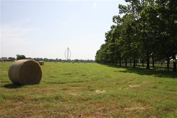 NFL Farms (7/2/2015 - Credits: Yousef Kazemi)
