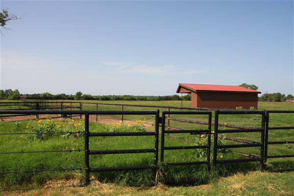 NFL Farms (7/2/2015 - Credits: Yousef Kazemi)