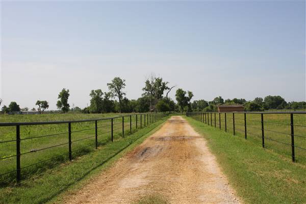 NFL Farms - Second set of horse grazing pens after the main area and passed the worker's houses (7/2/2015 - Credits: Yousef Kazemi)