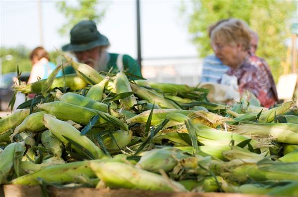 Edmond Festival Market Place (6/20/2016)