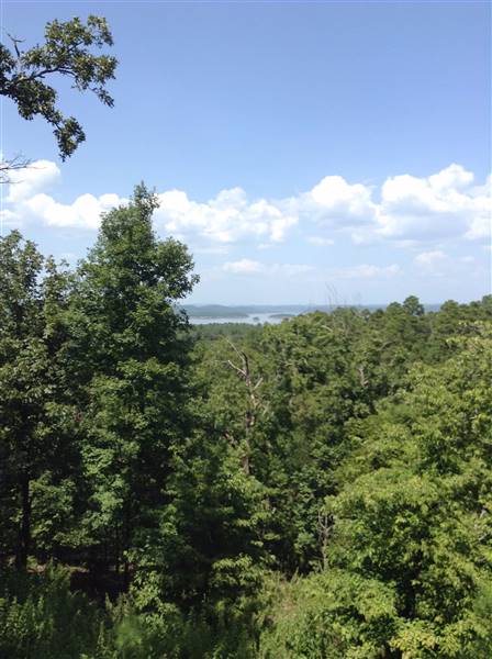 Lakeridge Cabin - Different shots of a rustic cabin with great scenic views of nearby Broken Bow Lake. (8/29/2015 - Credits: Charity O'Donnell)