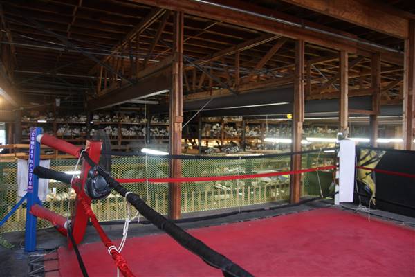 Western Avenue Boxing Gym (9/26/2017 - Credits: Yousef Kazemi)